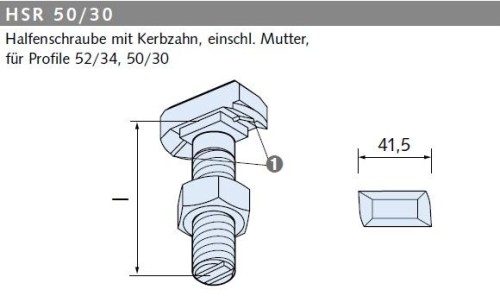 Halfenschraube HSR 50/30 | Feuerverzinkt 