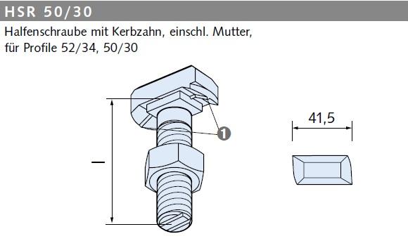 Halfenschraube HS 50/30 | Feuerverzinkt 